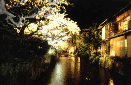 Kyoto in Blossom at night
